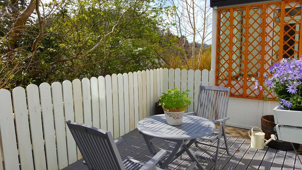 Elmbank Garden Apartment 奥本 外观 照片